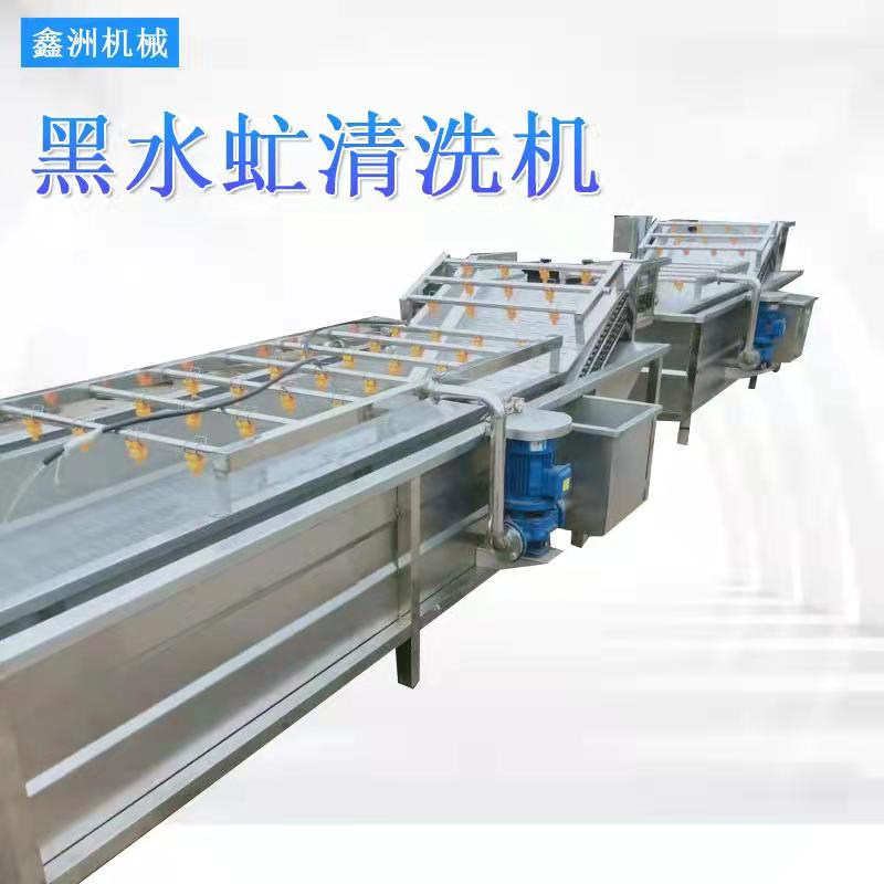 黑水虻清洗机(图1)